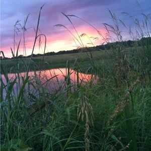 Meet your Posher, Tanner